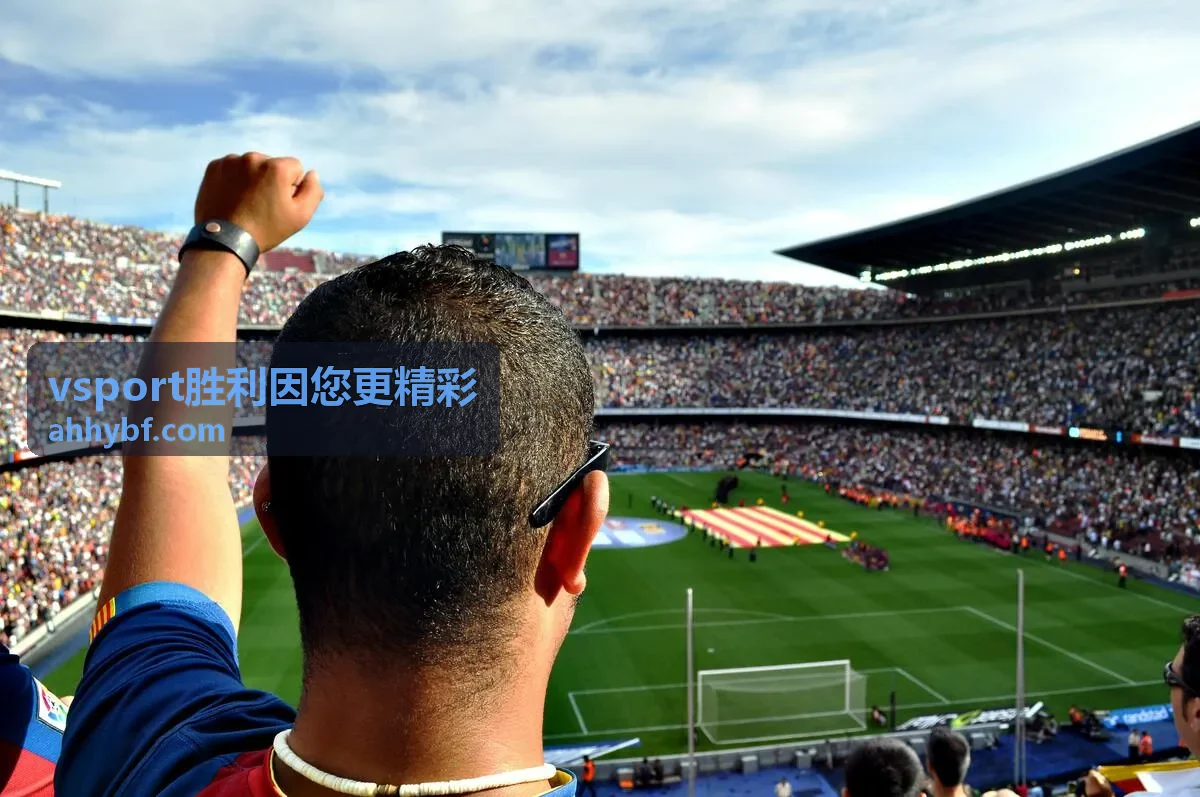 vsport胜利因您更精彩 专业组合版长期跟进示意
